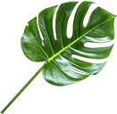 organic-cosmetics-slider-item-2